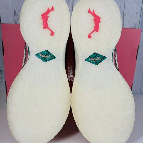 NEW Nike Lebron 20 XX ‘South Beast’ Pink Multi-Color Shoe *VerifiedAuthenticity* - Picture 2 of 11